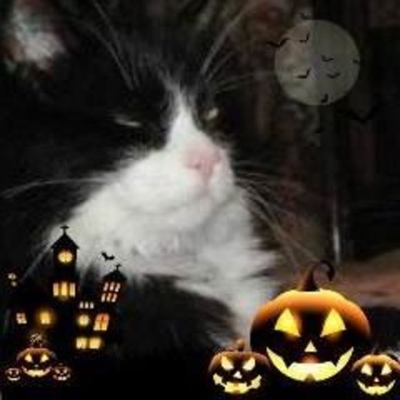 Meet your Posher, Cherrill - Picture 1 of 1